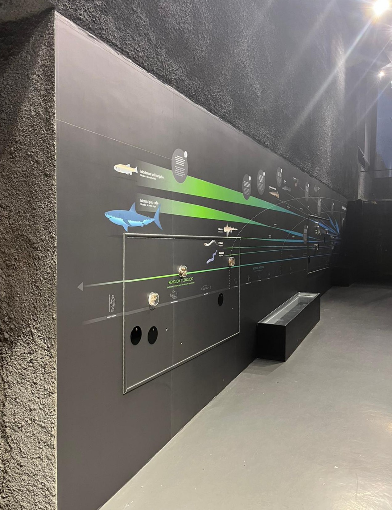 glatka_zidna_fototapeta_samoljepljiva